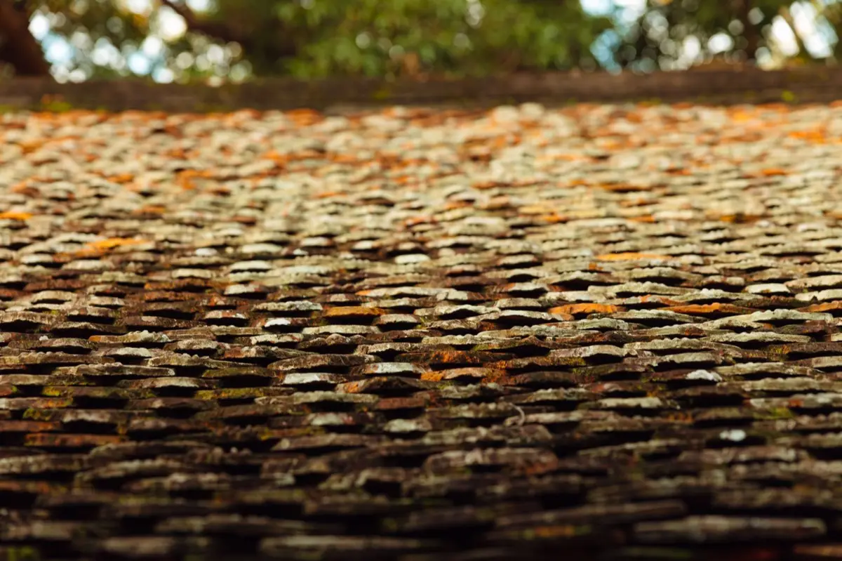 Aging shingle roof with moss growth and granule loss in Sunrise, FL